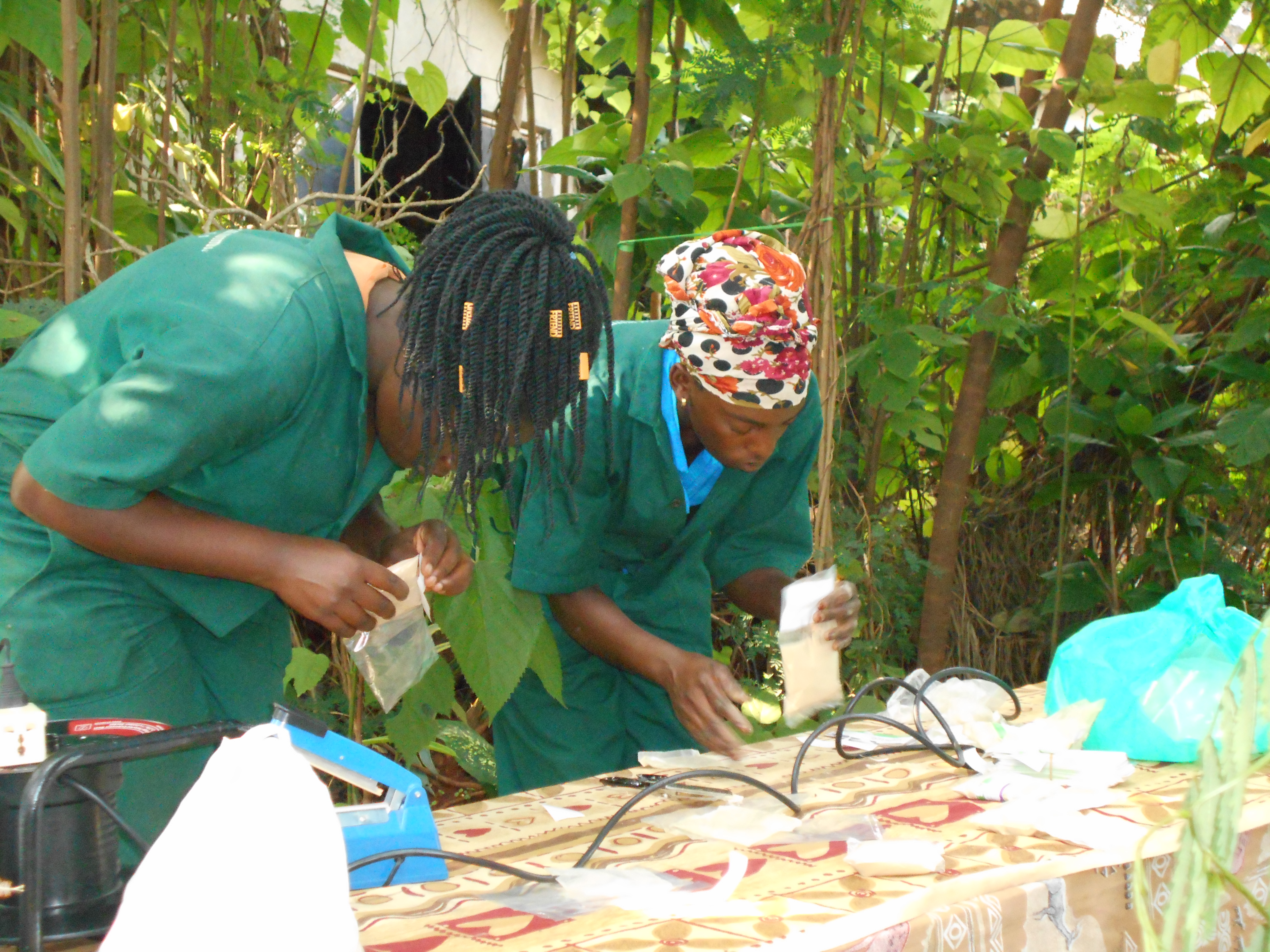 Gallery image: DSCN0122 (1).JPG